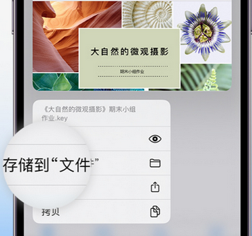 怀柔apple维修中心分享iPhone文件应用中存储和找到下载文件