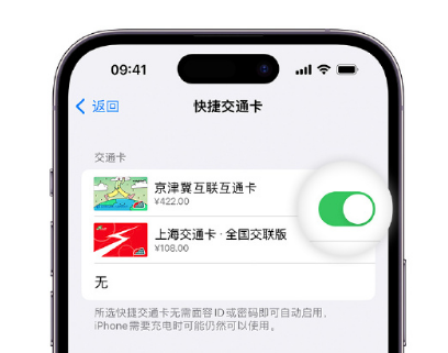 怀柔apple维修点分享iPhone上更换Apple Pay快捷交通卡手绘卡面 