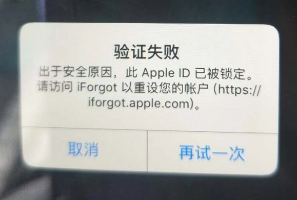 怀柔iPhone维修分享iPhone上正常登录或使用AppleID怎么办 