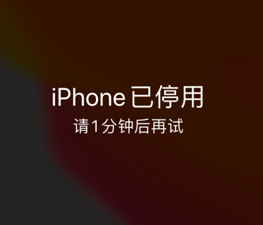 怀柔苹果手机维修分享:iPhone 显示“不可用”或“已停用”怎么办？还能保留数据吗？ 