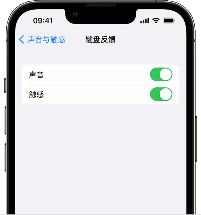 怀柔苹果14维修店分享如何在 iPhone 14 机型中使用触感键盘 