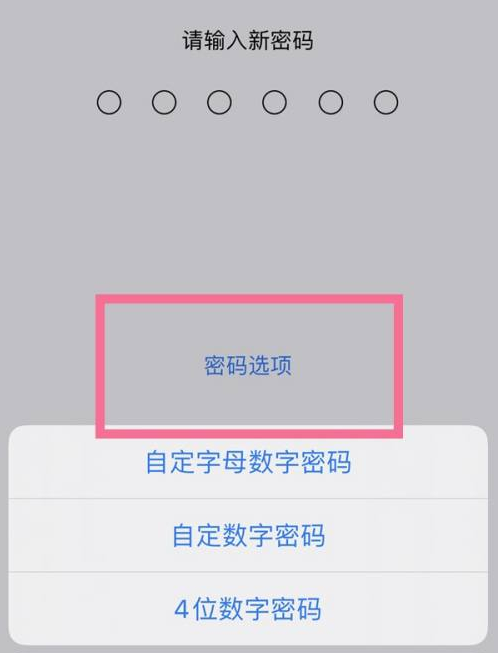 怀柔苹果14维修分享iPhone 14plus设置密码的方法 