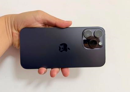 怀柔苹果维修点分享iPhone 14 Pro Max黑屏少见故障盘点 